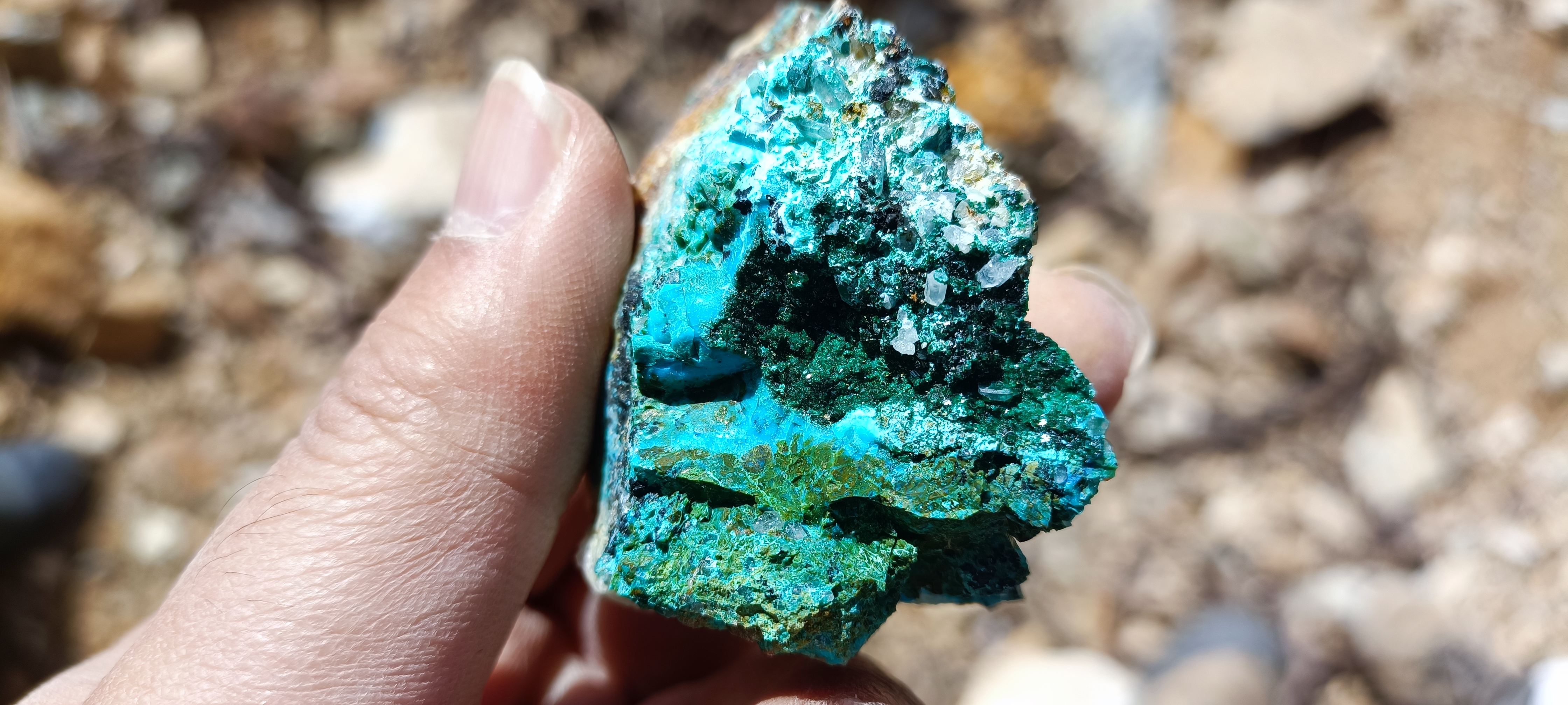 کنسانتره روی